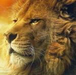 Аватар для Lion Aslan_renamed_1372385_23072023
